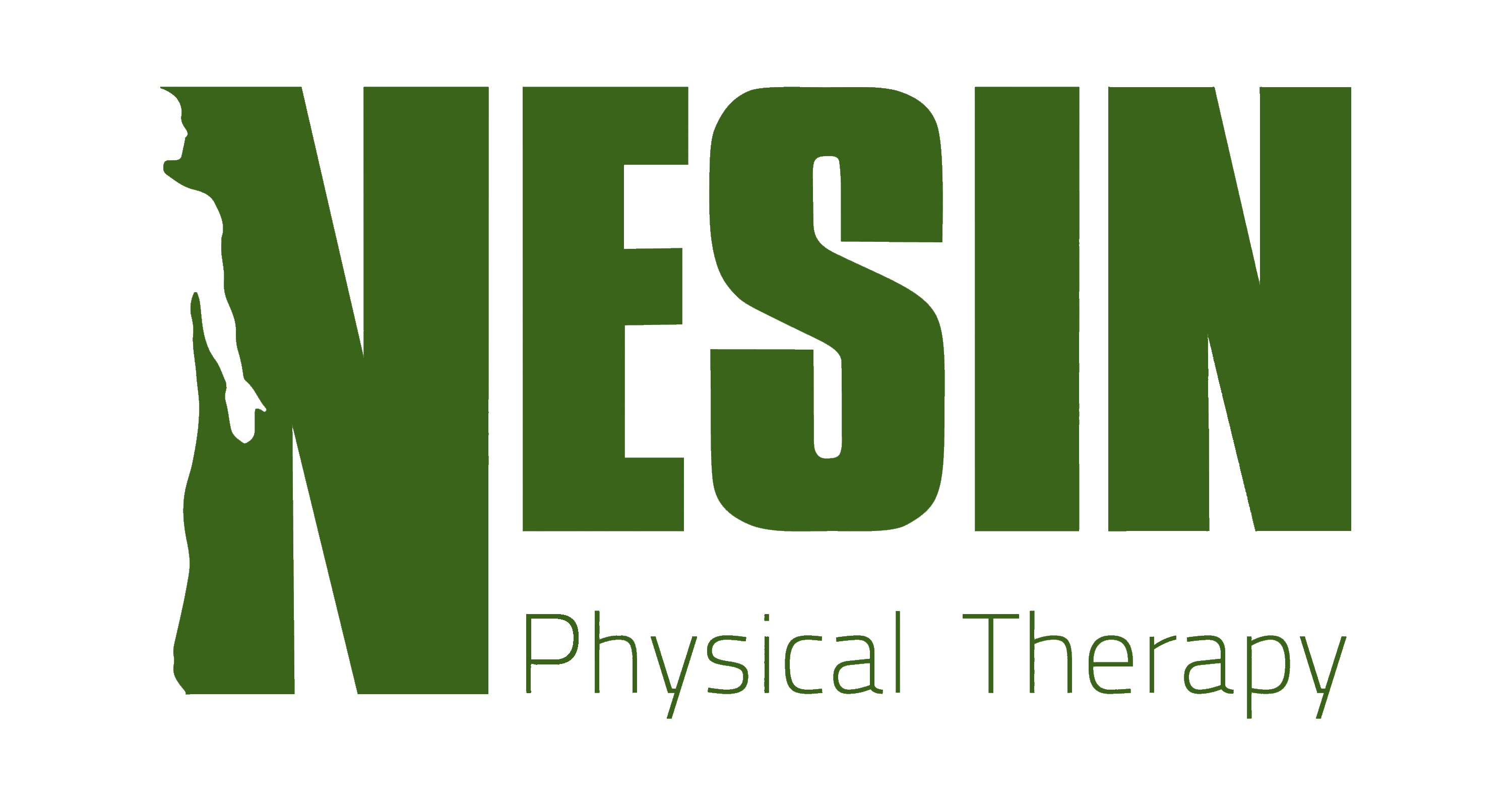 https://nesintherapy.com/wp-content/uploads/2020/04/Nesin-Physical-Therapy-Green.png